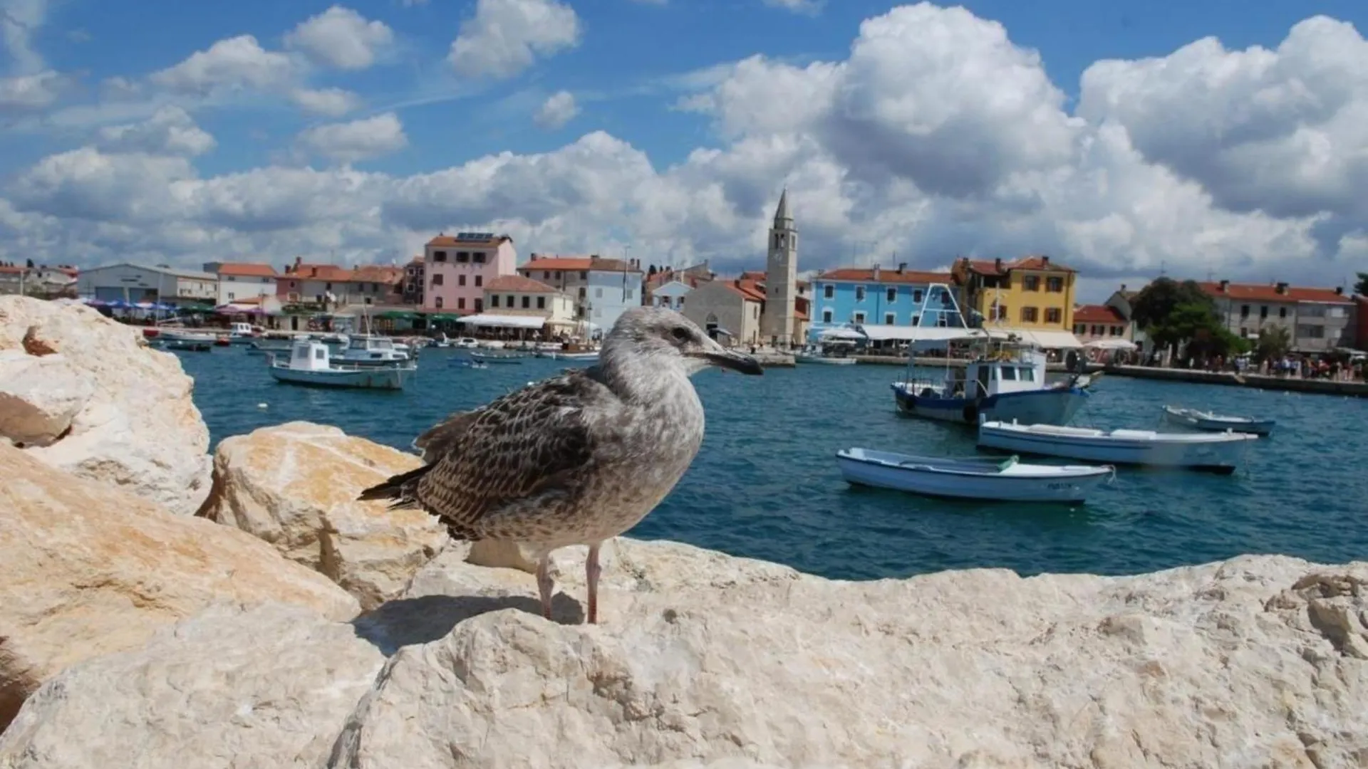 Appartement In Pula Mit Eigenem Balkon 0*,  Croatia